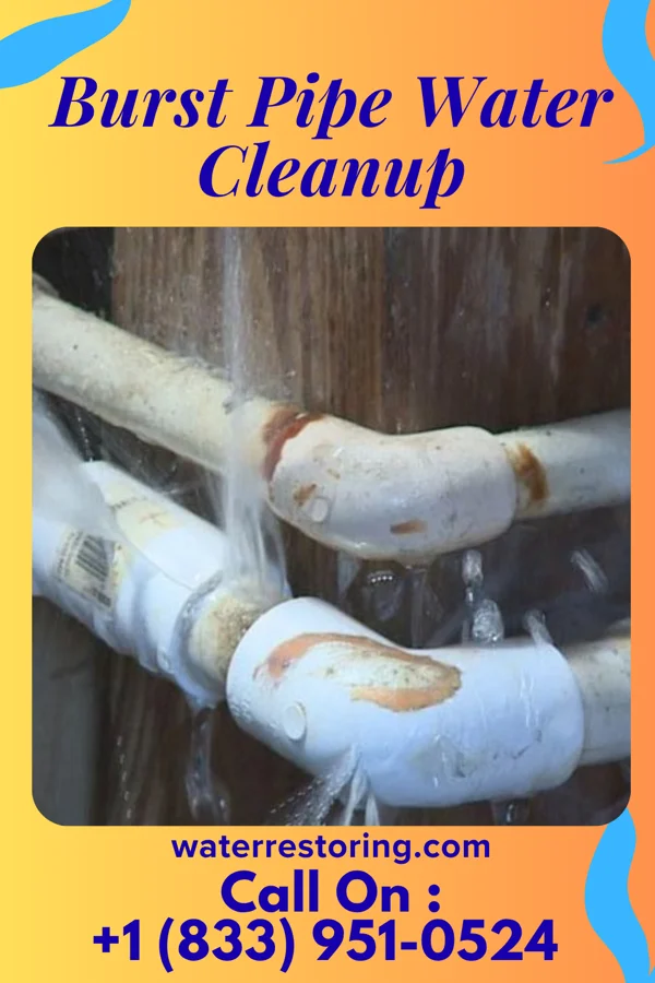Burst Pipe Water Cleanup in Verona, IL