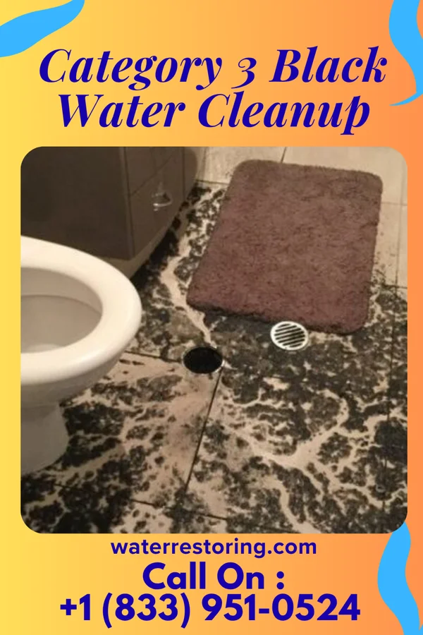Category 3 Black Water Cleanup in Verona, IL
