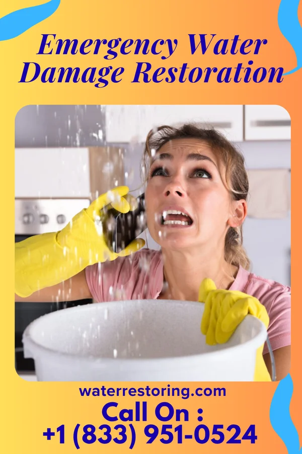 Emergency Water Damage Restoration in Verona, IL